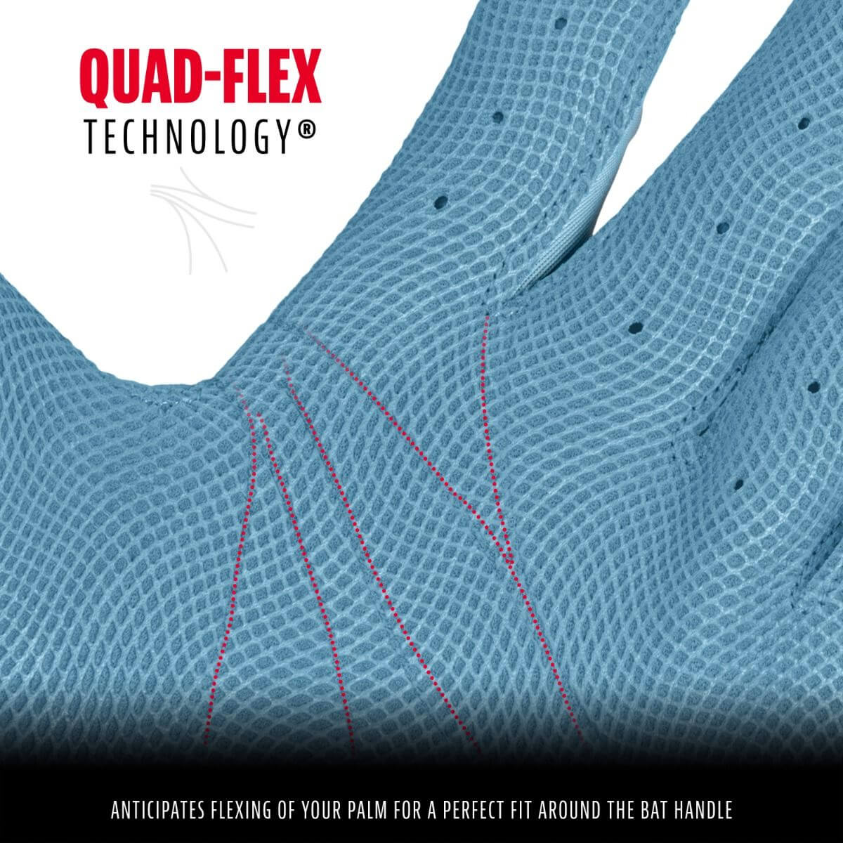 Franklin Adult MLB CFX Hi-Lite Batting Gloves - Carolina Blue - Image 4