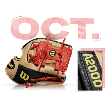 Wilson 100 GOTM October 2013 Elvis Andrus GM - A2000 1786