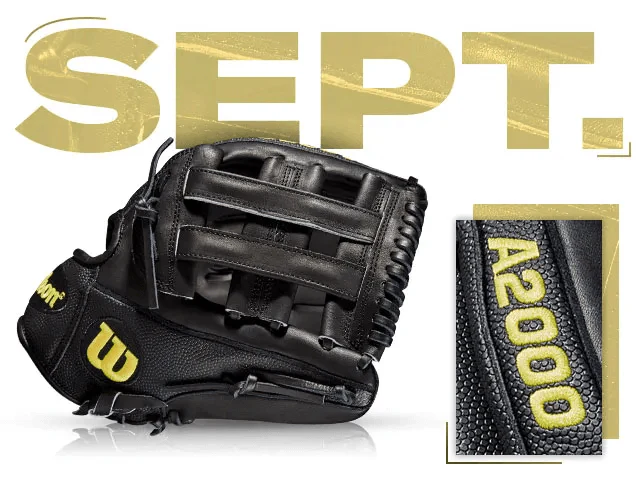 Wilson 100 GOTM September 2019 Custom A2000 DW5 SS - Image 2