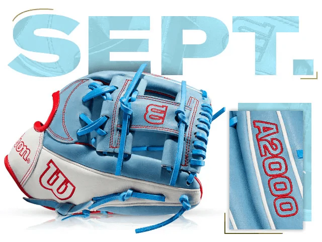Wilson 100 GOTM September 2020 Custom A2000 1787 SS - Image 2