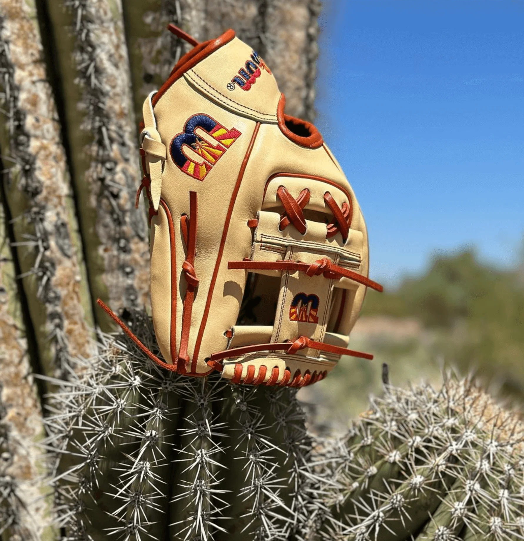 Wilson A2000 AZ Flag Logo 1786 BTL Exclusive 11.5 - Image 5