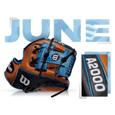 Wilson A2000 100 Glove of The Month June 2013 1786