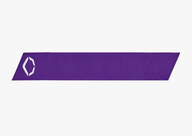 Wilson Evoshield Pro SRZ Guard Strap - Image 20